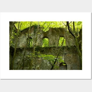 Ruins surrounded by nature Posters and Art